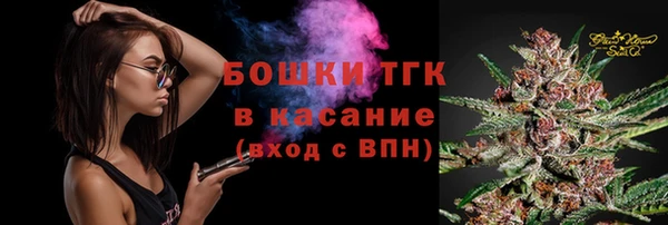 тгк Касимов