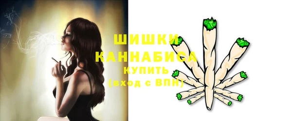 тгк Касимов