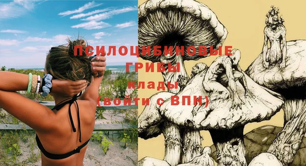 марки nbome Карталы